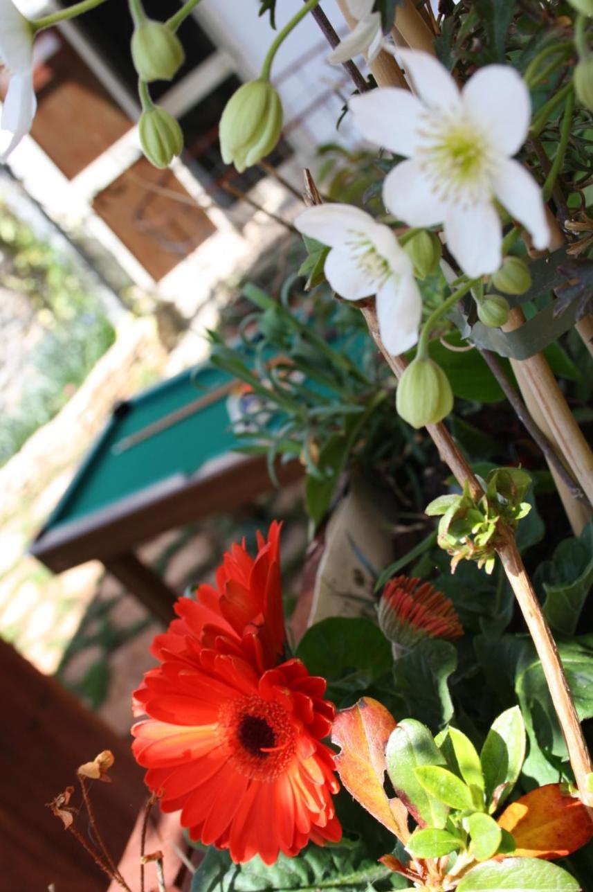 La Cascata Bed & Breakfast Noci Ngoại thất bức ảnh
